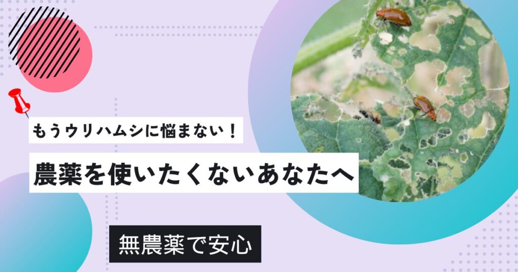 ウリハムシ駆除に酢は逆効果？コーヒーと木酢液の驚くべき駆除効果！手作り無農薬スプレーの作り方も紹介
